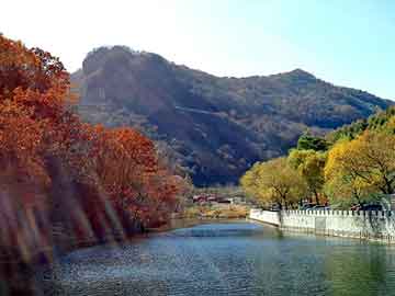 澳门红姐论坛精准两码300期，黎川seo程序